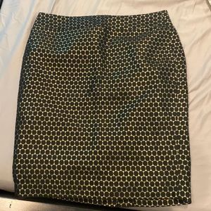 Ann Taylor skirt